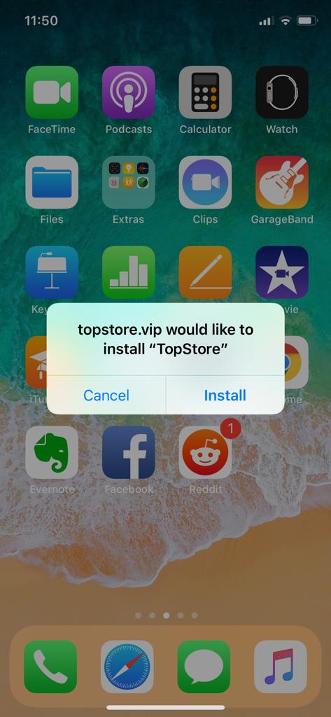 Install TopStore on iOS
